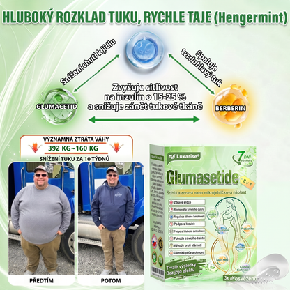 🌿Luxarise®Glumasetide 8v1 Stihla a zdrava nano mikrojehlickova naplast(1krát denně – viditelné změny až za 7 dní) ✅Pro obezitu, zpevnění kůže, cukrovku, spánkovou apnoe, klouby atd.