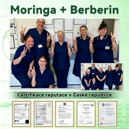Oficiální obchod  |👩‍⚕️𝗟𝘂𝘅𝗮𝗿𝗶𝘀𝗲® MORINGA X BERBERIN  10-IN-1 Pokročilý Nano Mikrojehly Náplast(Jedna náplast denně, viditelné změny již za 7 dní) ✅ Pomáhá při obezitě, cukrovce, spánkové apnoe, problémech s klouby a dalších potížích💫